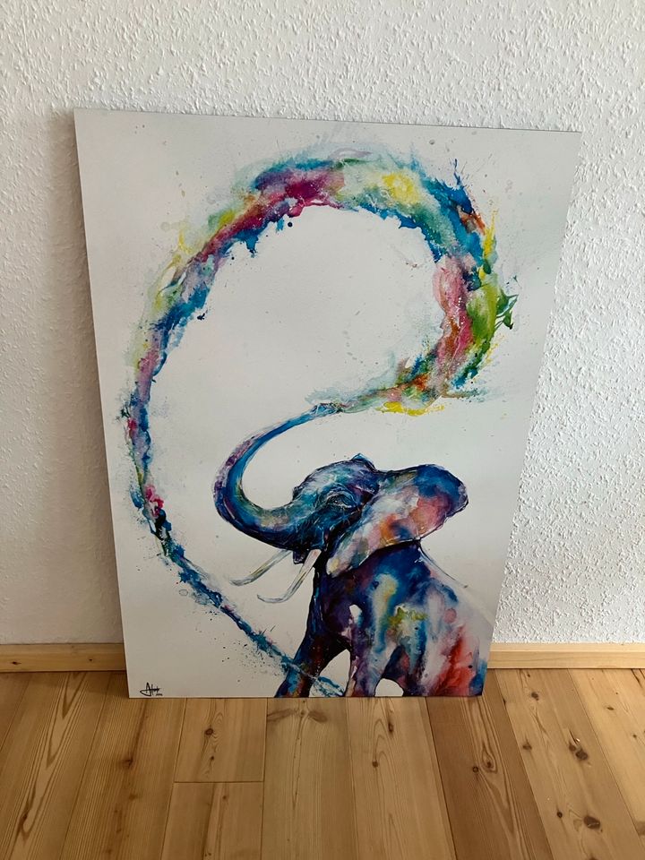 Wandbild Elefant Farben in Bocholt