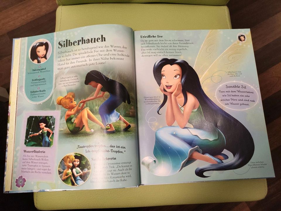 Disney Feen Buch in Berlin