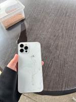 iPhone 12 Pro Niedersachsen - Celle Vorschau