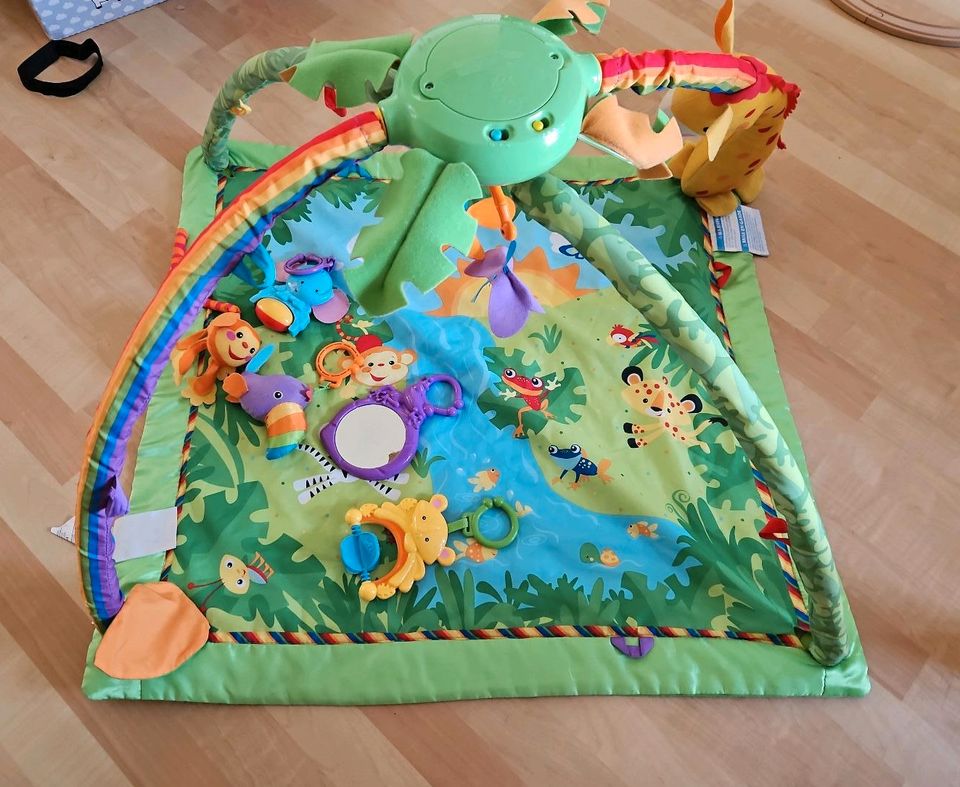 Rain Forest Krabbeldecke Spieldecke Fisher Price in Dortmund