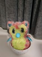 Hatchimals Ludwigslust - Landkreis - Hagenow Vorschau