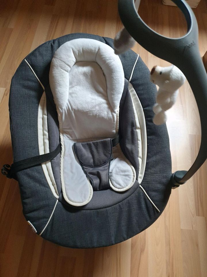 Hauck Bouncer Deluxe 2in1, Neugeborenenaufsatz & Wippe in Bergisch Gladbach