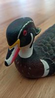 Ente Wood Duck by J. B. Garton Canada Bayern - Freyung Vorschau