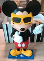 Micky Maus Disneyland Brandenburg - Finsterwalde Vorschau