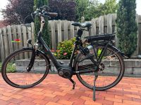 E-Bike Gazelle Arroya C7 + Niedersachsen - Wietmarschen Vorschau