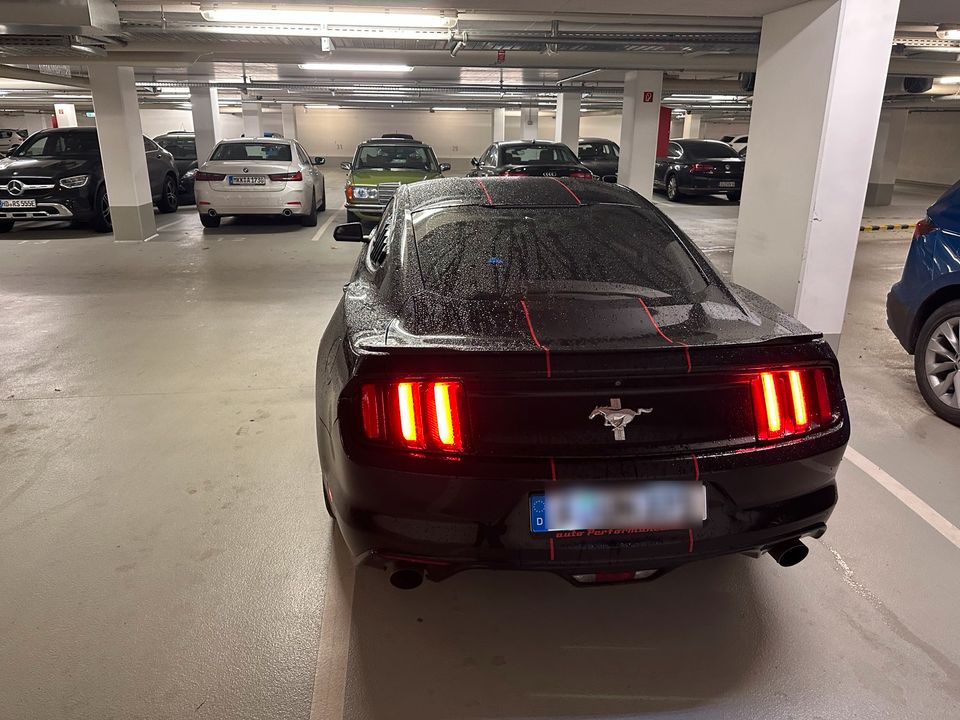 Mustang 3.7 dicke Sound in Frankfurt am Main