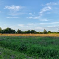 Wer mäht unser ca 1 ha großes Land Niedersachsen - Leer (Ostfriesland) Vorschau