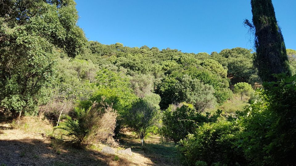 Wunderschöne Finca zu vermieten in Casares in den Bergen Spanien in Berlin