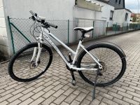 Cube Fahrrad nature Bayern - Mitterteich Vorschau