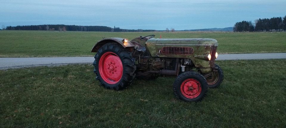 Fendt Favorit 1  Oldtimer Traktor in Ingoldingen
