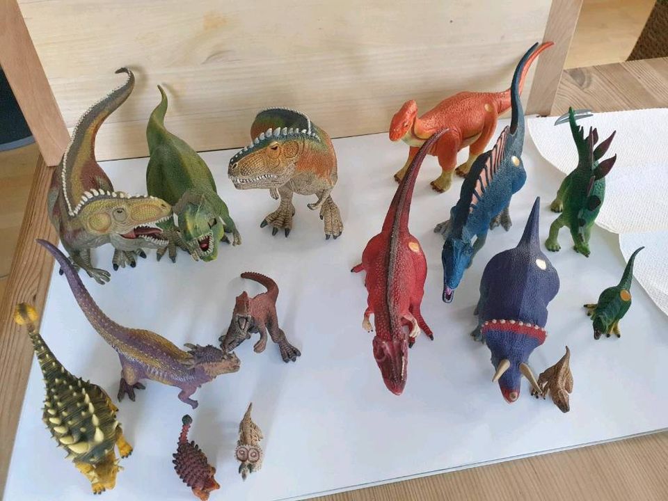 Dinosaurer Sammlung riesig: Schleich, Tiptoi, Playmobil + Vulkan in Waltenhofen