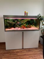 Aquarium komplett Set Eheim 325 Liter Nordrhein-Westfalen - Welver Vorschau