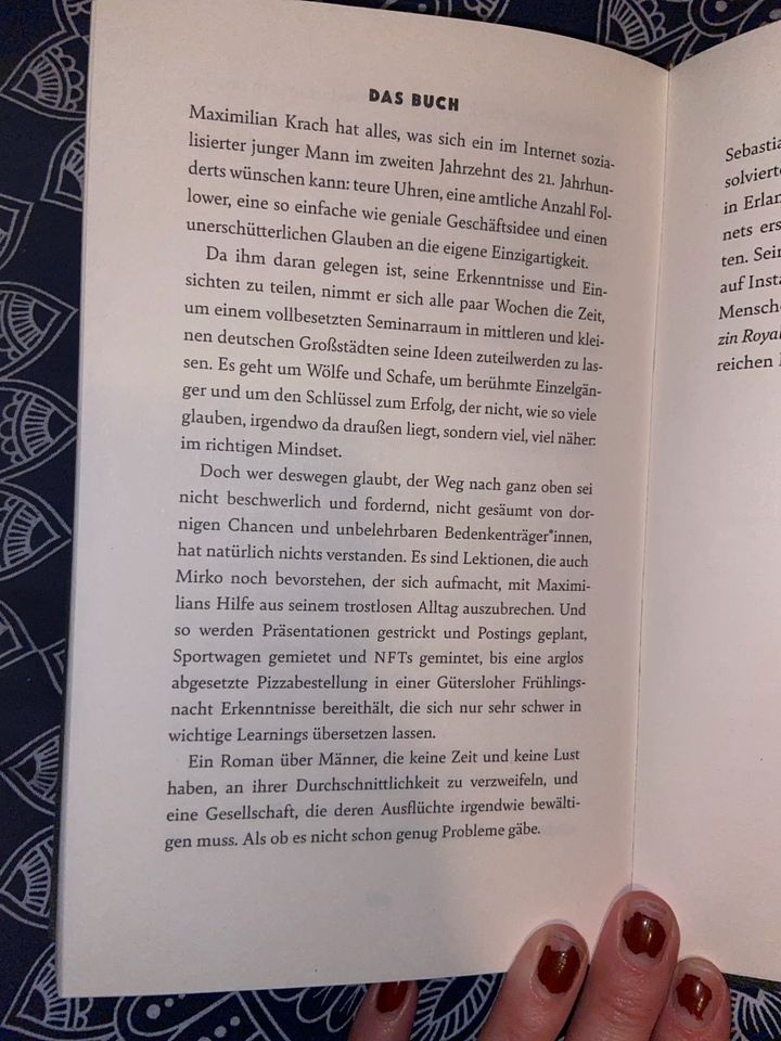 Sebastian Hotz Buch Mindset Roman Kiepenheuer & Witsch, wie neu! in Brücken (bei Birkenfeld)