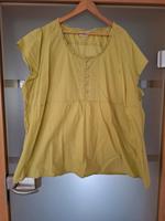 sommerliche, hellgrüne Bluse Yessica Gr. 56/58 Nordrhein-Westfalen - Rheine Vorschau