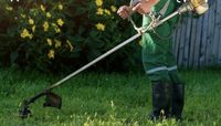 Gartenarbeit Baumfällarbeiten Sturmschäden Rasen Hecke Nordrhein-Westfalen - Eschweiler Vorschau