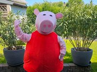 Peppa Wutz Peppa Pig leihen mieten Kostüm Maskottchen Hessen - Neuberg Vorschau