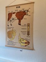 Vintage Schultafel Poster „Die Kuh“ Nordrhein-Westfalen - Drensteinfurt Vorschau