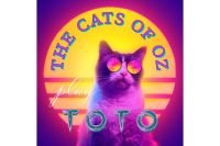 The Cats of Oz (Toto tribute band) live Rock Musik Berlin covers Mitte - Wedding Vorschau