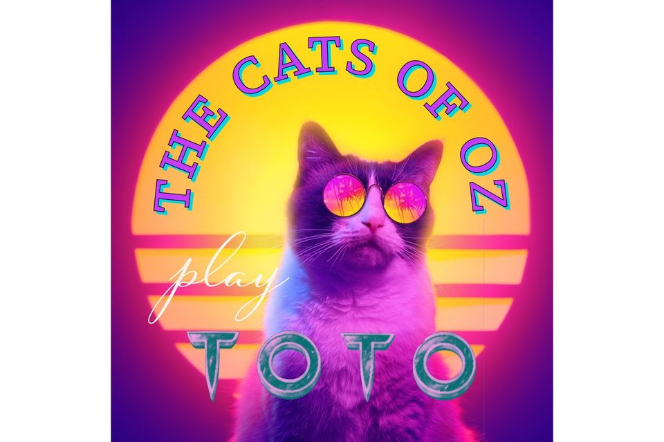 The Cats of Oz (Toto tribute band) live Rock Musik Berlin covers in Berlin