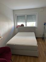 Boxspringbett ink. Topper Bayern - Wolnzach Vorschau