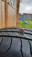 Audi Sommerreifen Michelin 235/50 R19 Zoll Niedersachsen - Emden Vorschau