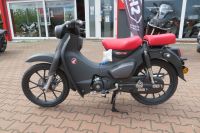 Honda Super Cub C125 - Neu  ab 49,- € monatlich Brandenburg - Strausberg Vorschau