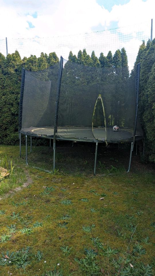 Outdoor Trampolin in Lohne (Oldenburg)