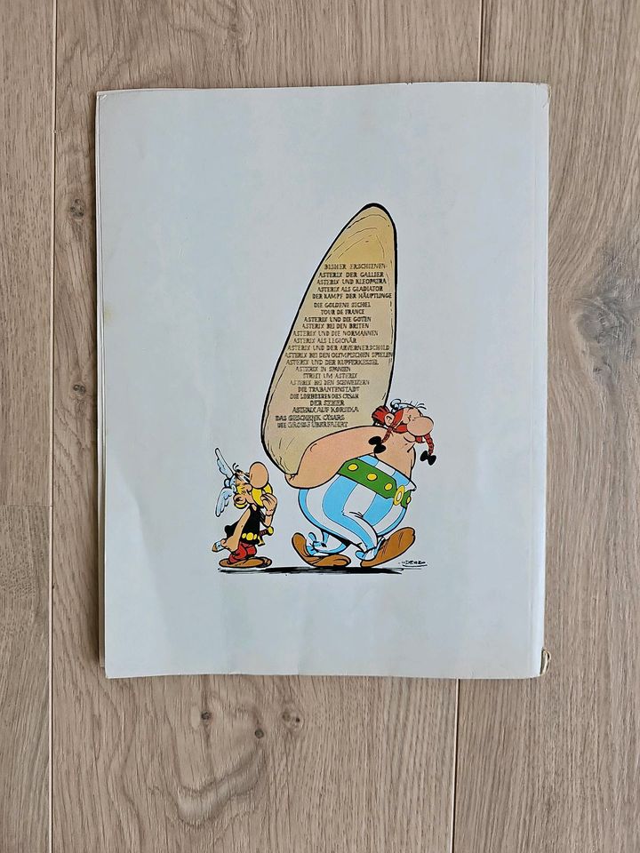 Comic Hefte  Flipper Streit um Asterix der Gallier in Höchst im Odenwald