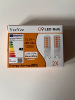 2 LED Leuchtmittel Sachsen - Lichtenau Vorschau