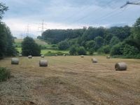 Suche Stroh ab Feld Nordrhein-Westfalen - Hattingen Vorschau