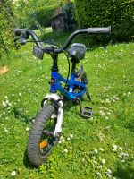 Royal Baby 12" Kinderfahrrad Hessen - Maintal Vorschau