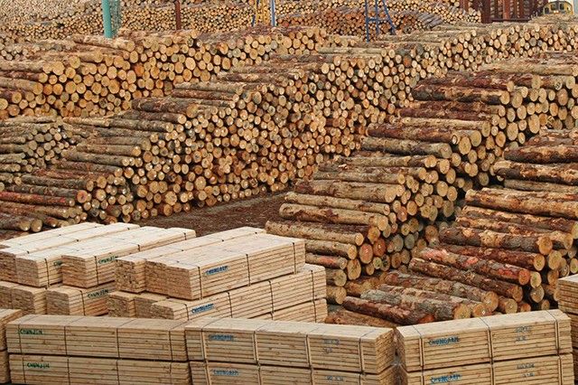 KVZ Holz Bauholz Kiefer Tanne 3-5 m Latten Sparren Bohlen in Leipzig