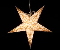 Mini Weihnachtsstern mit Beleuchtung Sterne vom Himmel Neu Kreis Pinneberg - Wedel Vorschau