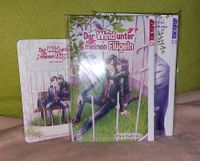 Der Wind unter meinen Flügeln - Bd. 1+2 - Manga Hessen - Büttelborn Vorschau