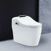 Dusch WC Toilette Salerno I Keramik TurboFlush-Spültechnik Bayern - Bad Kissingen Vorschau