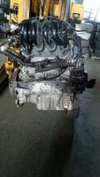 Motor Rover 45 1,6 80 KW Code 16K4FK80 902458 ( PL16 ) 10375 Sachsen-Anhalt - Coswig (Anhalt) Vorschau