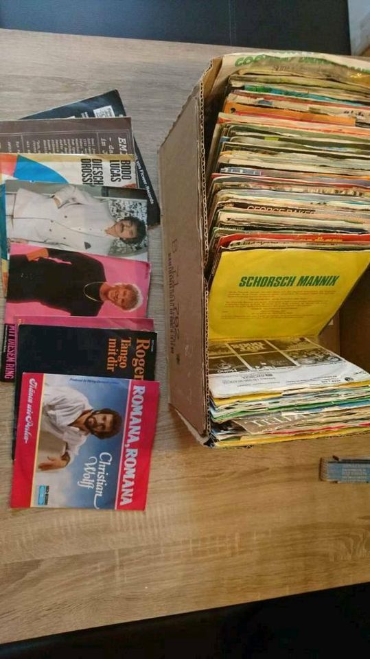 Schallplatten  /  Singles in Schneverdingen