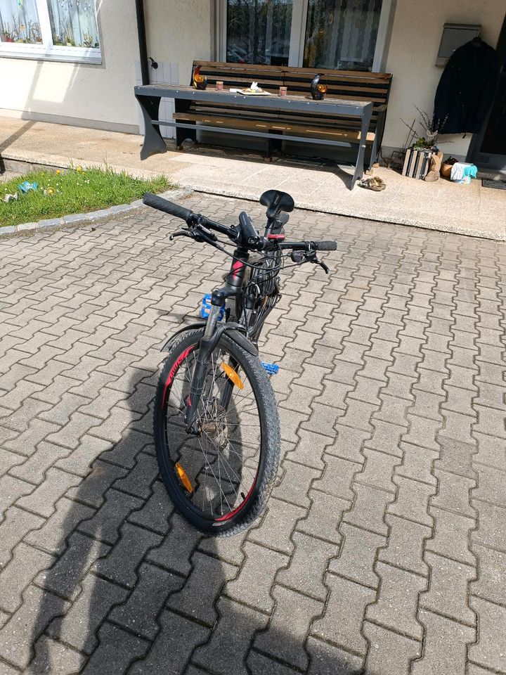 Fahrrad /Mountainbike in Ellzee