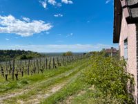 Alpine Idylle "Berghütte" mit atemberaubendem Panorama &Weitsicht Baden-Württemberg - Weingarten (Baden) Vorschau