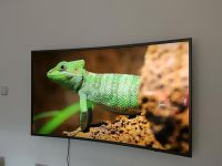 Samsung Smart Curved LED TV ❤️ 50Zoll Sachsen-Anhalt - Magdeburg Vorschau