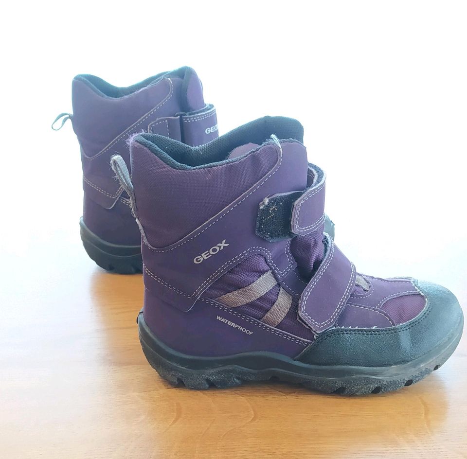 Winterstiefel Geox Clady lila 33 wasserfest neuwertig Winter Boot in Wartenberg