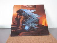 Vinyl Schallplatte 12" LP - The Alan Parsons Project - Pyramid Baden-Württemberg - Fellbach Vorschau