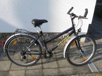 Herrenfahrrad Sachsen - Striegistal Vorschau