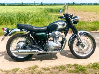 Kawasaki W800, 1.Hd., Originalzustand Nordrhein-Westfalen - Rüthen Vorschau