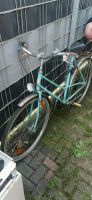 Damen Fahrrad 28 Zoll in türkis  abzugeben Duisburg - Hamborn Vorschau