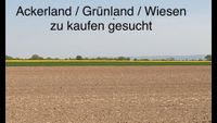 Suche Acker Grünland Wiese Weide Koppel Raum Nauen Brandenburg - Nauen Vorschau