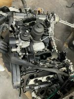 Motor Engine Audi CGK 2,7 TDI A4 A5 A6 Bielefeld - Senne Vorschau