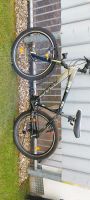 Fahrrad von BULLS DS1 dual slalom 26" Zoll Bielefeld - Heepen Vorschau