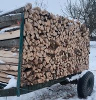 Brennholz Buche frisch Hessen - Ringgau Vorschau