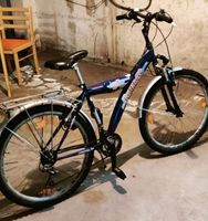 Fahrrad 26 Zoll Nordrhein-Westfalen - Gelsenkirchen Vorschau